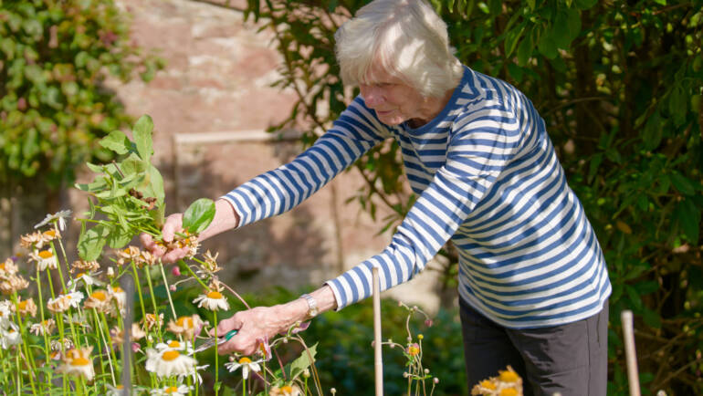 Elderly Care at Home